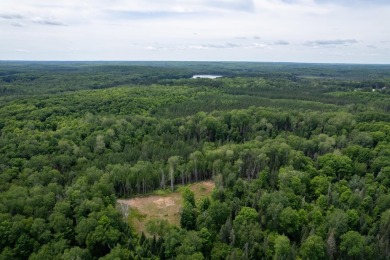 14AC Dunn Lake Parcel - photo 23