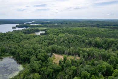 14AC Dunn Lake Parcel - photo 24