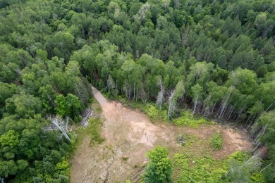 14AC Dunn Lake Parcel - photo 26