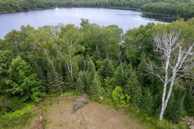 14AC Dunn Lake Parcel - photo 29