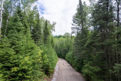 14AC Dunn Lake Parcel - photo 33