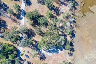 Coastal Living at its finest with marsh views on a 1.03 marsh - photo 3
