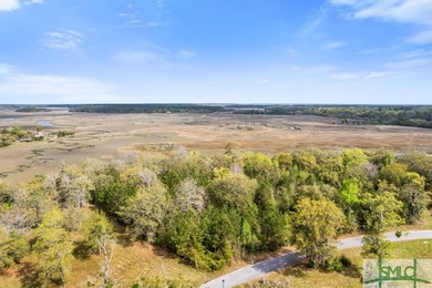 Coastal Living at its finest with marsh views on a 1.03 marsh - photo 5