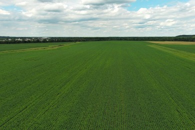 The Knudtson Farm Investor-Grade 669.82-Acre Farm - Rock River - photo 1