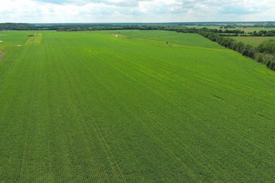 The Knudtson Farm Investor-Grade 669.82-Acre Farm - Rock River - photo 2