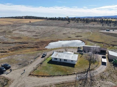 Lake Home For Sale in Ignacio, Colorado