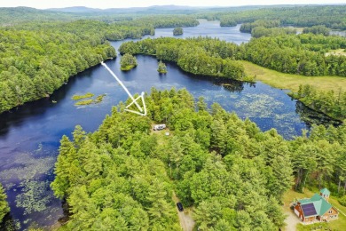 Lake Acreage For Sale in Liberty, Maine