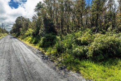 Nice level lot located on a fully paved road in the cool and - photo 8