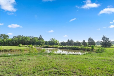 Enjoy the freedom of country living on just over 5 unrestricted - photo 23