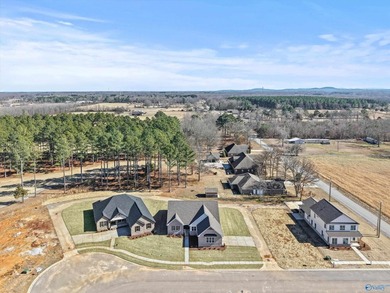 Brand New Golf Course Home in The Links at Southern Gayles is - photo 40