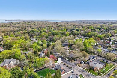 Zoned Single Family House, Two-Family House, or C3 *SPECIAL - photo 43