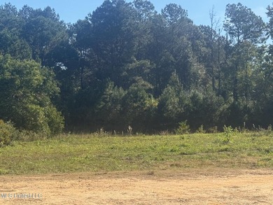 new doublewide Mobile homes are - photo 2