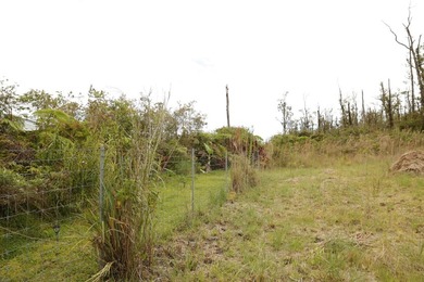 Located less than a block from the main paved road, Ala Kapena - photo 3