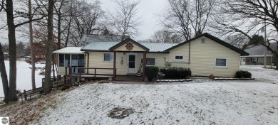 Lake Home For Sale in Lake, Michigan