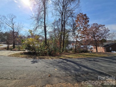 This Badin Lake water view property is located in the Lakeshore - photo 12