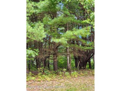228 +/- acres with an Adirondack feel. Spectacular Catskill - photo 12