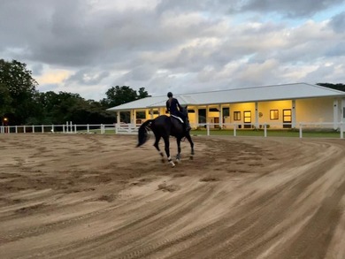 Luxury Equestrian Estate, Punta Barco, Panama Republic - photo 4
