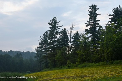 228 +/- acres with an Adirondack feel. Spectacular Catskill - photo 22