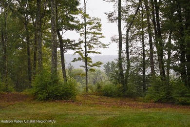 228 +/- acres with an Adirondack feel. Spectacular Catskill - photo 25
