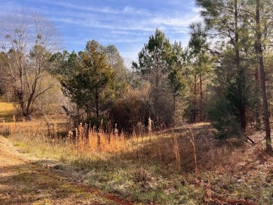 Super Super Nice Price for over an acre of wooded PRIVACY on a - Lake Lot For Sale in Cross Hill, South Carolina