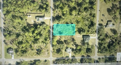 Lehigh Acres Area Lot For Sale in Lehigh Acres Florida