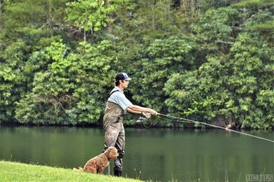 Between two North Carolina mountain ridges lies an expansive - photo 12