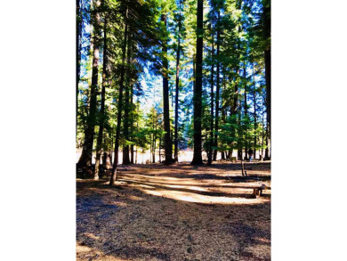 Lake Almanor Lot For Sale in Lake Almanor California