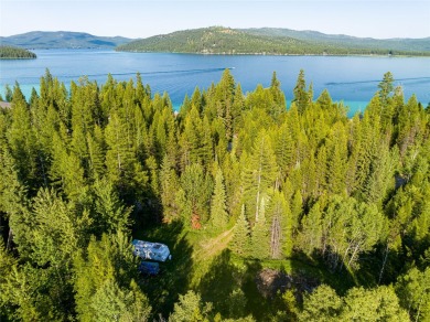 Ashley Lake Acreage For Sale in Kila Montana