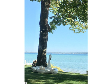 If living close to downtown Traverse City with a neighborhood - photo 42
