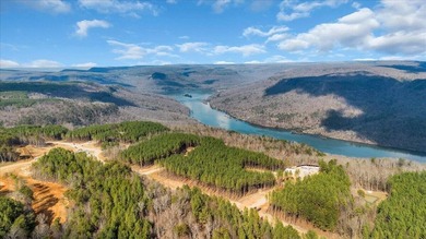 Nick-a-Jack Lake Lot For Sale in Guild Tennessee