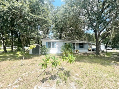(private lake, pond, coastal) Home For Sale in Plant City Florida