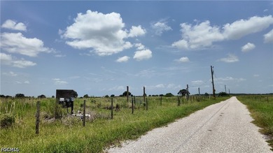 Rare 20-Acre Opportunity with Paved Road Frontage - Offered - photo 1