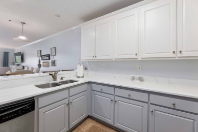 Waterfront Condo Lake Harding - photo 11