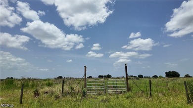 Rare 20-Acre Opportunity with Paved Road Frontage - Offered - photo 2