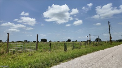Rare 20-Acre Opportunity with Paved Road Frontage - Offered - photo 3