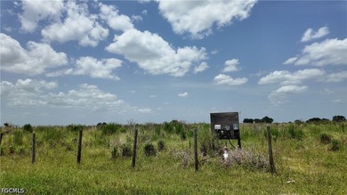 Rare 20-Acre Opportunity with Paved Road Frontage - Offered - photo 4