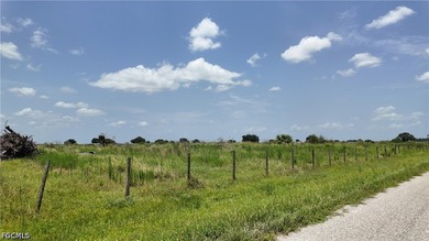 Rare 20-Acre Opportunity with Paved Road Frontage - Offered - photo 7