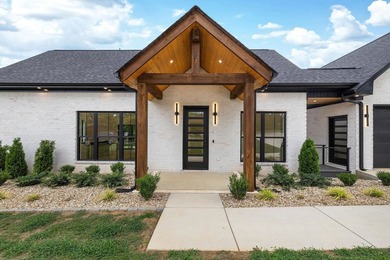 This new construction modern lake home is so fresh the walls - photo 1