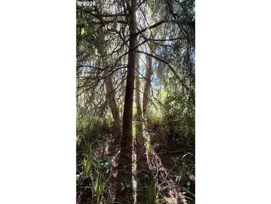 Escape to the peaceful beauty of the Ocean Park, Wa with this - photo 12