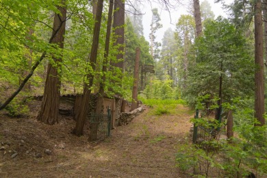 Lake Lot For Sale in Lake Arrowhead, California