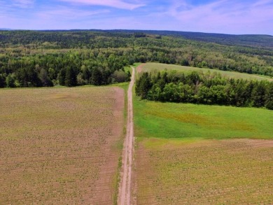 Lake Acreage For Sale in Cyr Plt, Maine