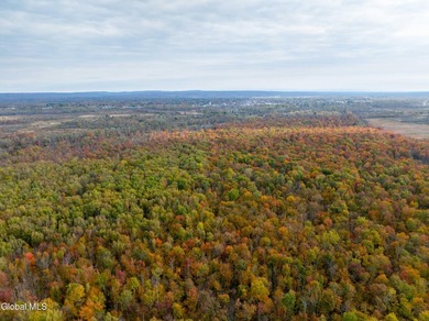 Wooded and wonderfully untouched, this property is a haven for - photo 4