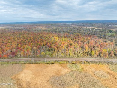 Wooded and wonderfully untouched, this property is a haven for - photo 5