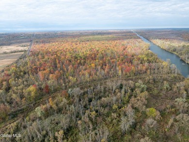 Wooded and wonderfully untouched, this property is a haven for - photo 9