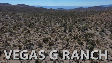 Lake Home For Sale in Searchlight, Nevada