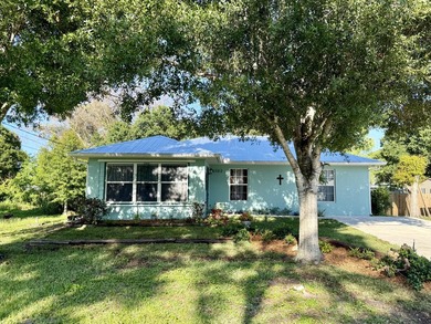 Located in desirable Indian River Estates, this well-maintained - photo 1