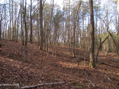 Tellico Lake Acreage For Sale in Maryville Tennessee