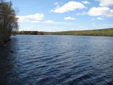 Lake Acreage For Sale in Lexington Twp, Maine