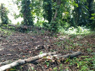 Build 2 homes on this generous sized corner lot just a short - photo 8