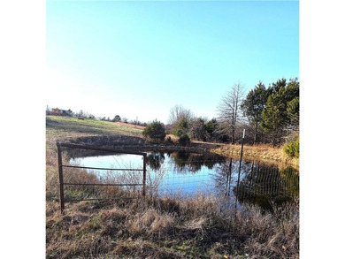 (private lake, pond, creek) Acreage For Sale in Saint Joe Arkansas